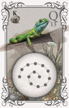 Digitale Illustration für ein Kartenspiel – komplette Gestaltung inklusive Hintergrund, Ornamenten und Hauptmotiv, erstellt mit Rebelle 7 und Adobe Photoshop